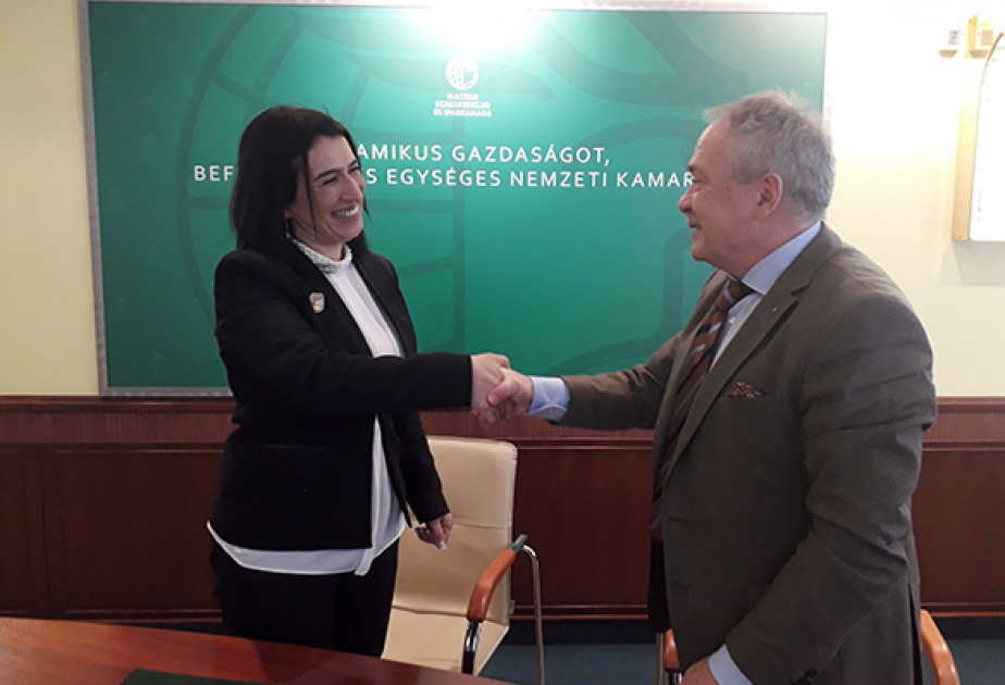 设立阿塞拜疆-匈牙利联合商务理事会