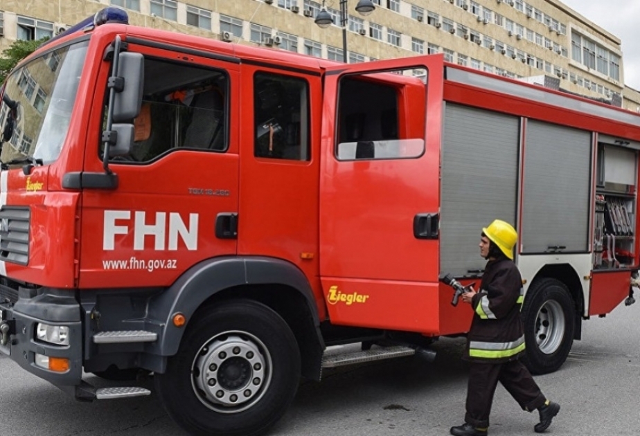 FHN: Ötən sutka ölkə ərazisində yeddi nəfər xilas edilib