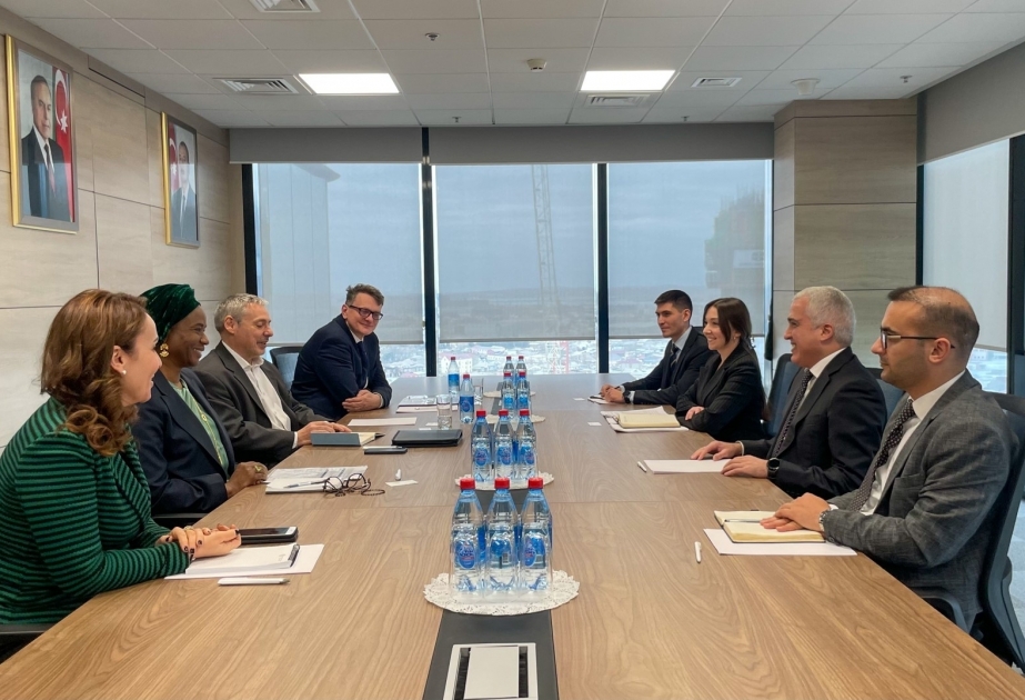 Azerbaijan Energy Regulatory Agency, IFC weigh in on attracting private sector investment in energy sector