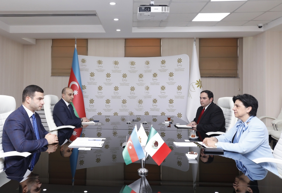L’Azerbaïdjan et le Mexique discutent de leur coopération en matière des PME