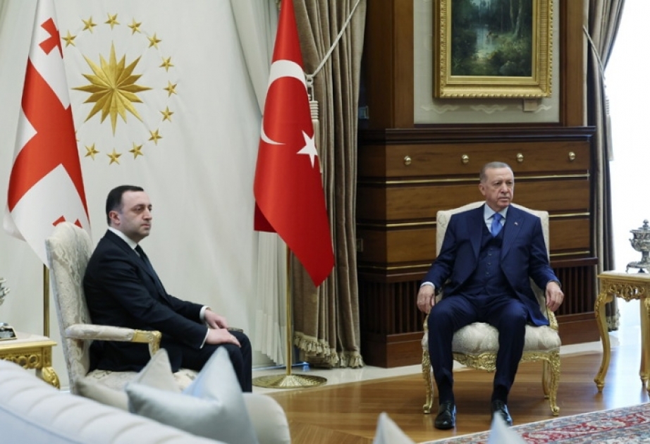 Türkiyə və Gürcüstan liderləri regionda reallaşdırılan iqtisadi layihələri müzakirə ediblər