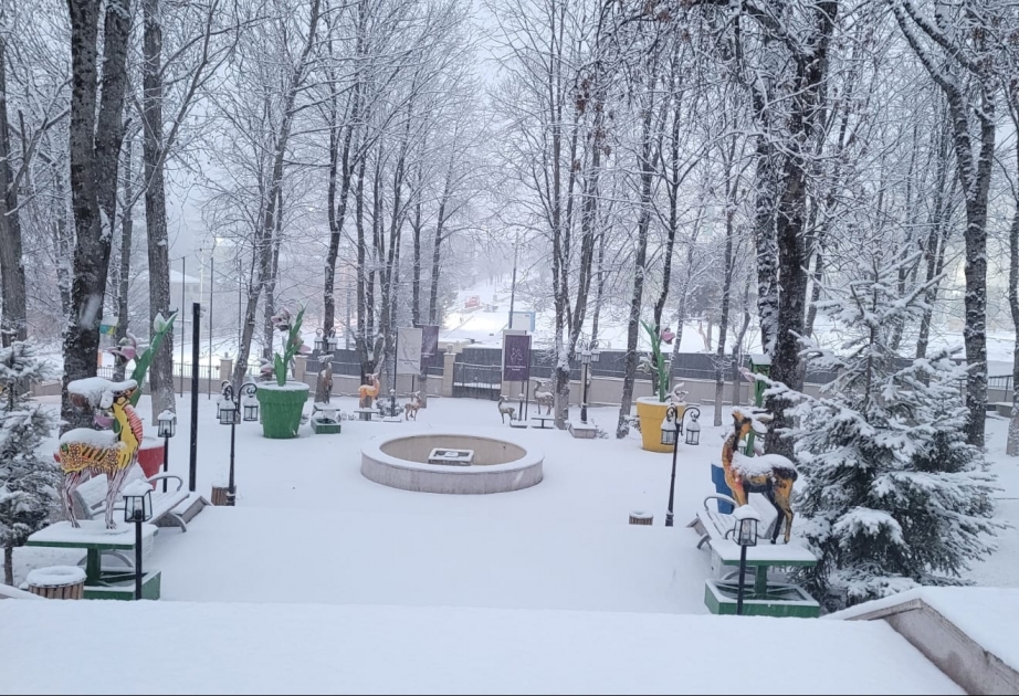 Şuşaya 6-7 santimetr hündürlüyündə qar yağıb