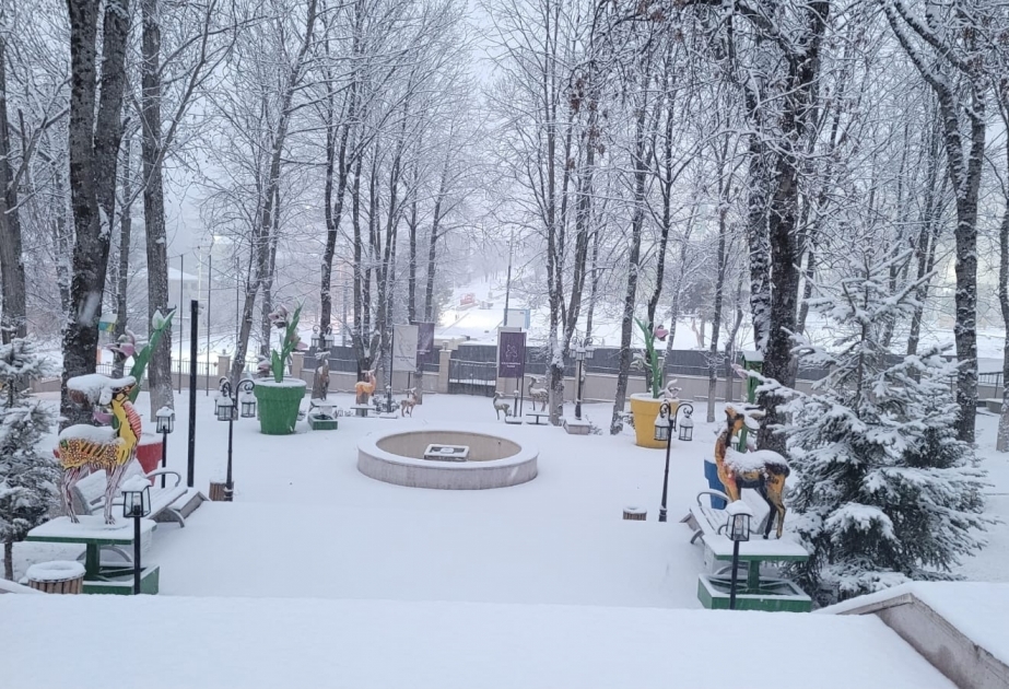 Schuscha vom Schnee ganz in Weiß gehüllt