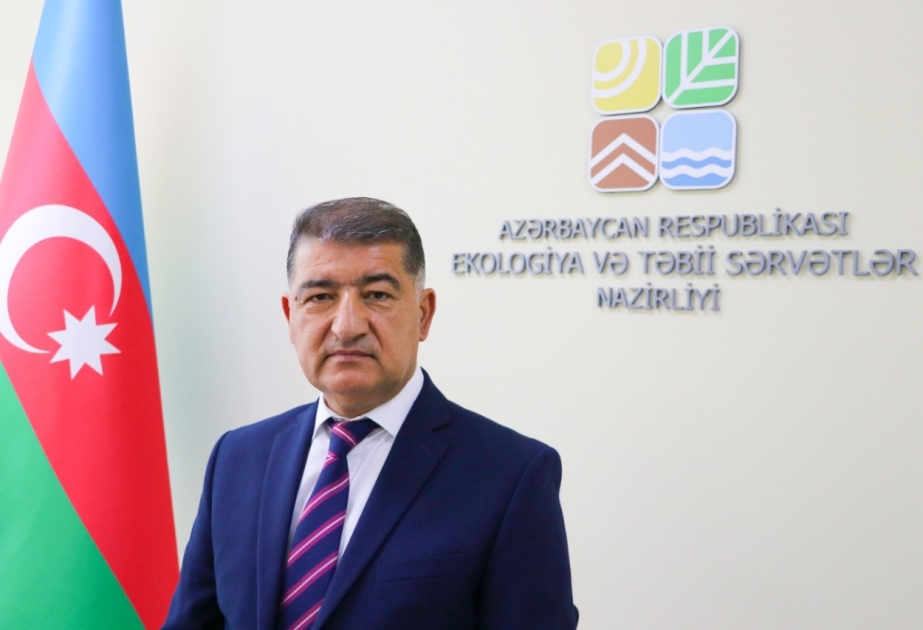 Nazir müavini: Bu il ölkə üzrə 3 milyon ağacın əkilməsini hədəfləyirik