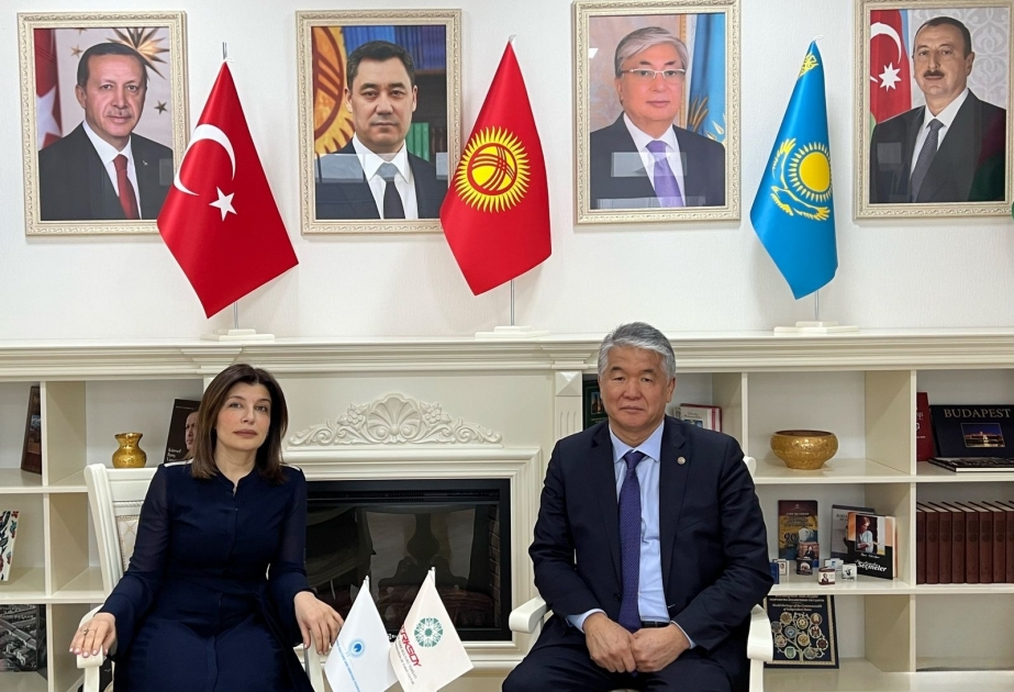 Gunay Afandiyeva meets with TURKSOY Secretary General