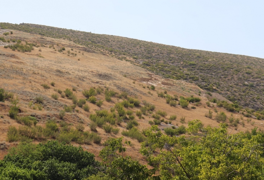 Erməni arxeoloqların “Tiqranakert” saxtakarlığı -  Tarixi faktlar