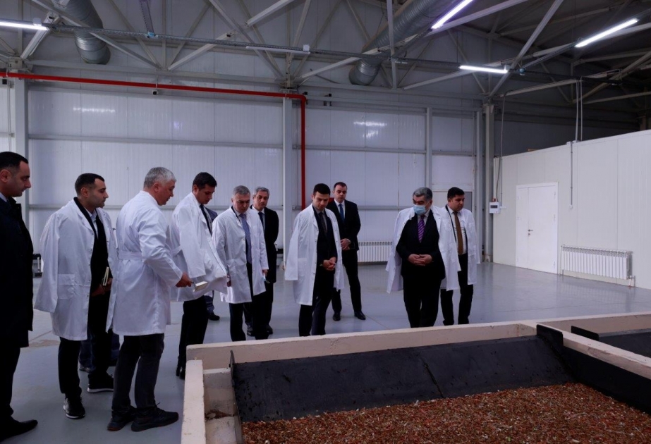 Hacıqabul Sənaye Məhəlləsində tullantılardan zülal və üzvi gübrə istehsal olunacaq