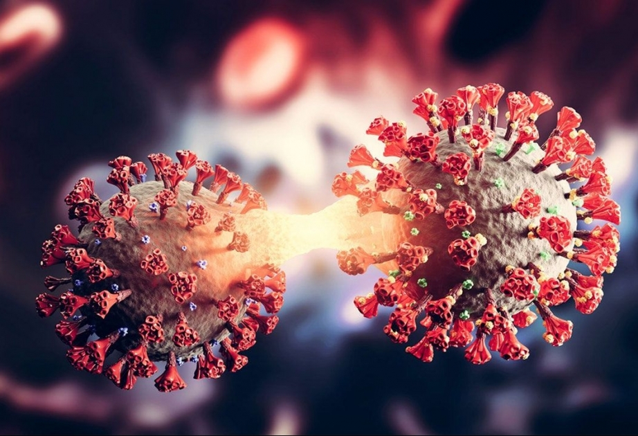 Coronavirus in Aserbaidschan: Mehr Geheilte als Infizierte am Montag
