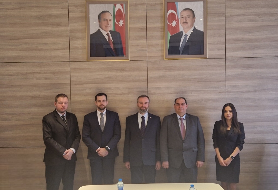 Polşa şirkətlərinin azad edilmiş ərazilərdə bərpa olunan enerji layihələrində iştirakı nəzərdən keçirilib