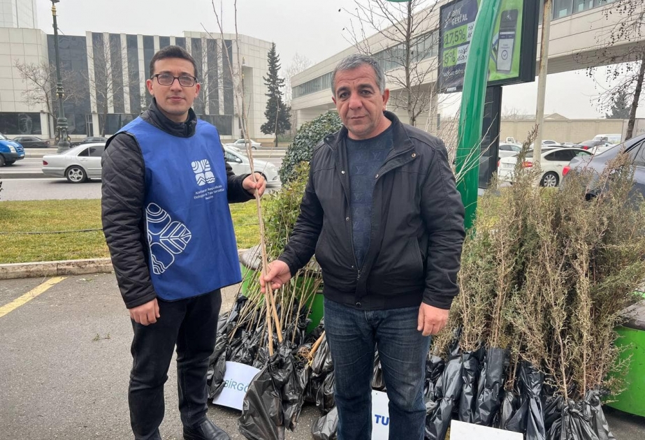 Şüşə, işlənmiş batareya və plastik tullantı təhvil verən vətəndaşlara ağac tingləri paylanılıb