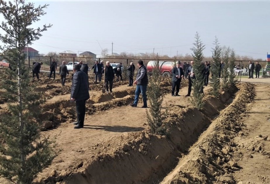 Biləsuvarın Əsgərabad kəndində Heydər Əliyev adına park salınıb