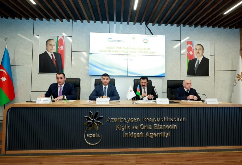 Banklar üzrə sahibkarların kreditləşməsində regionların payı 23 faiz təşkil edir