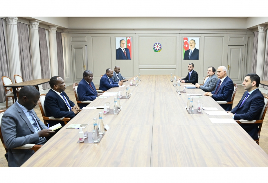 Baş nazirin müavini Şahin Mustafayev Tanzaniyanın Vitse-prezidenti ilə görüşüb