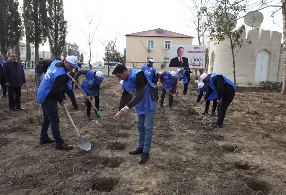 Tərtərdə növbəti ağacəkmə aksiyası keçirilib