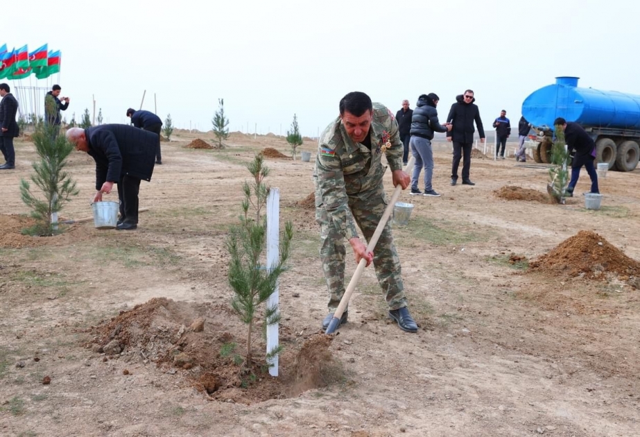 Heydər Əliyevin anadan olmasının 100 illiyi çərçivəsində 2 mindən çox ağac əkilib
