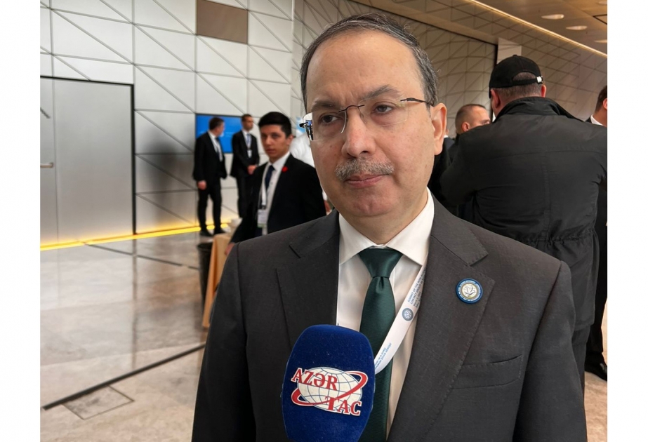 Səfir: Qoşulmama Hərəkatı Azərbaycan Prezidentinin rəhbərliyi ilə daha səmərəli fəaliyyət göstərir