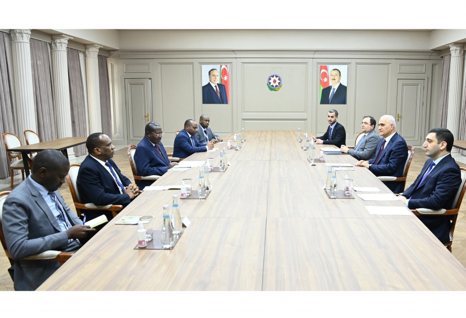 阿塞拜疆副总理沙欣·穆斯塔法耶夫会见坦桑尼亚副总统