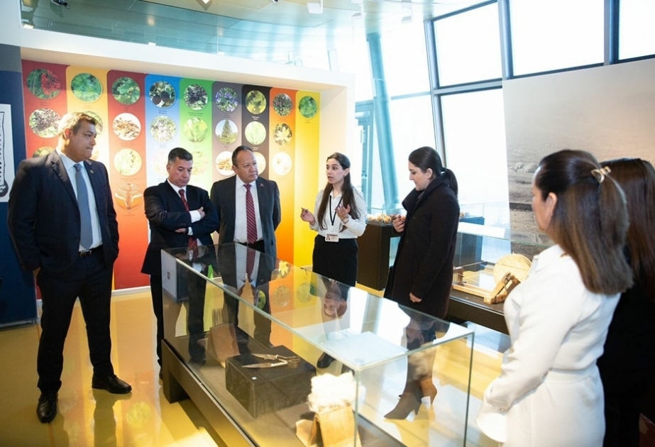 Parlamentarios mexicanos han realizado una visita al Museo Nacional de Alfombras de Azerbaiyán