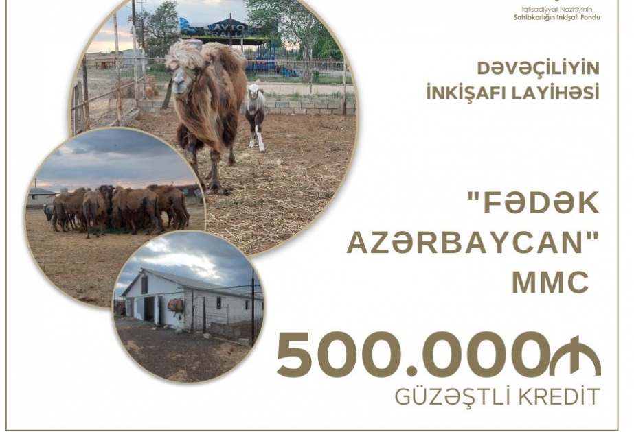 Hacıqabulda dəvəçiliyin inkişafı layihəsi üzrə güzəştli kredit verilib
