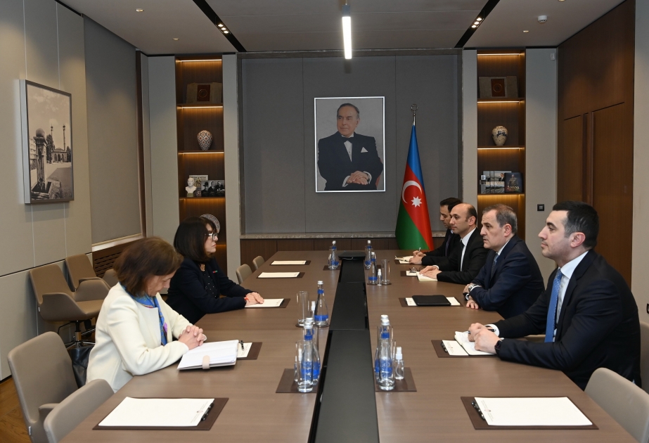 Nazir Ceyhun Bayramov Fransa Senatının üzvü Natali Qule ilə görüşüb