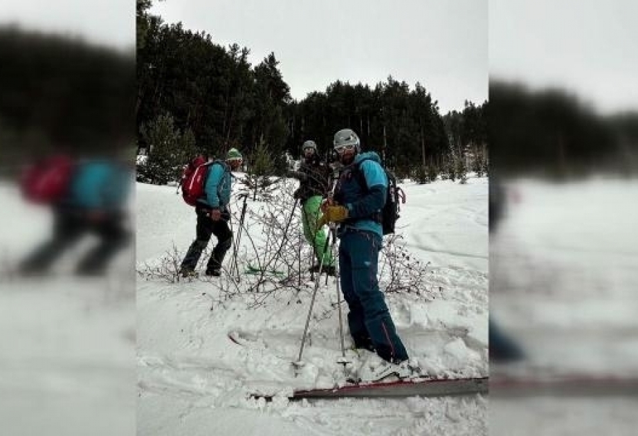 Avalanche en Türkiye : 2 morts et 7 blessés