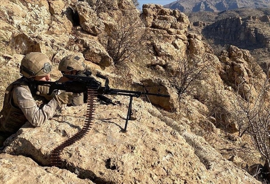 Türkiyə ordusu Suriyanın şimalında iki terrorçunu zərərsizləşdirib