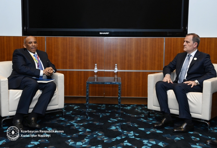 Ministro de Asuntos Exteriores de Azerbaiyán se reúne con el director del Banco de Tecnología de la ONU para los Países Menos Adelantados