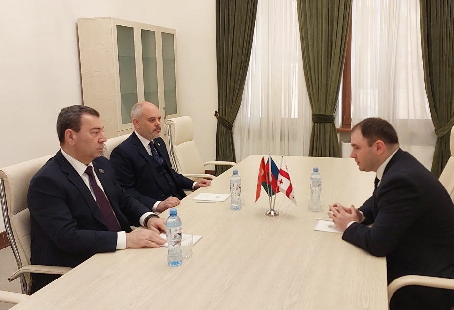 В Тбилиси состоялась встреча глав комитетов по внешним связям парламентов Азербайджана, Грузии и Турции