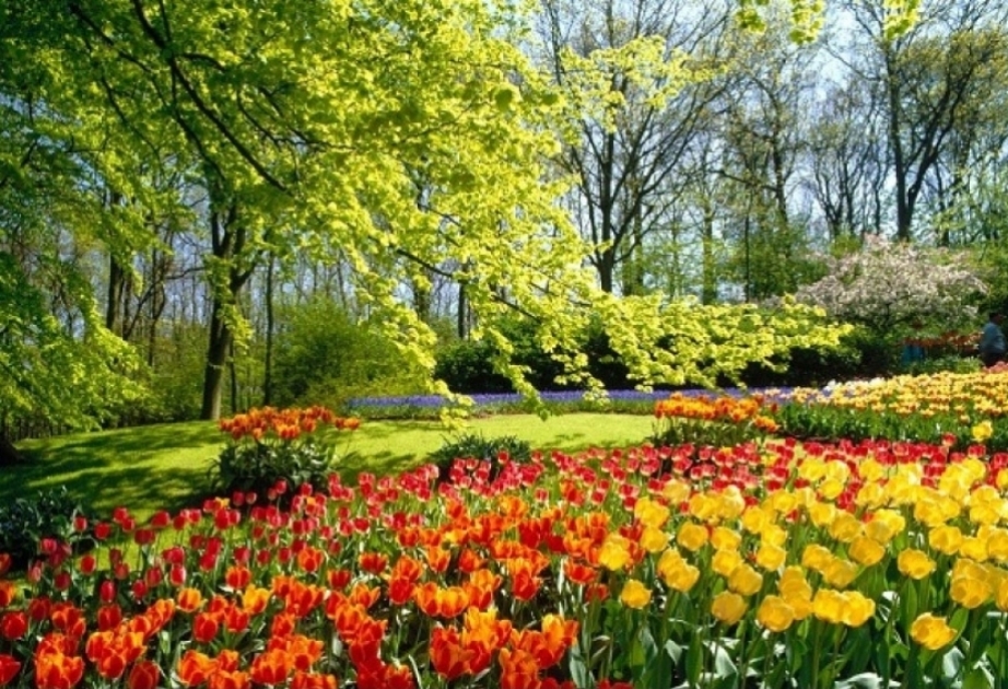 Весна в Азербайджане наступит 21 марта в 01:24