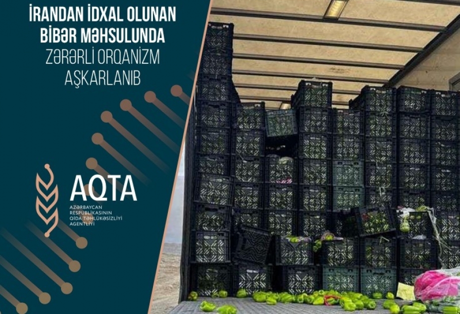 İrandan idxal olunan bibər məhsulunda zərərli orqanizm aşkarlanıb