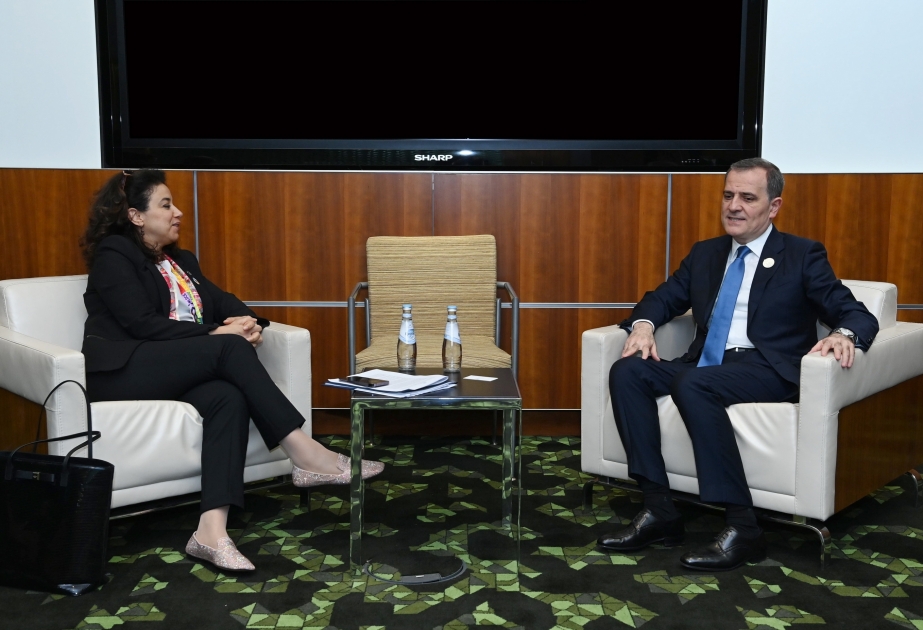 Azerbaijani FM meets with director of United Nations Office for South-South Cooperation