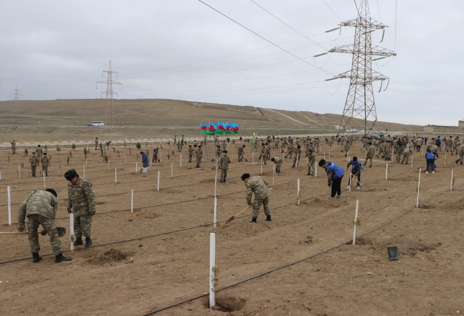 Vətənin müdafiəsində dayanan hərbi qulluqçular ağac əkərək təbiətimizə töhfə veriblər