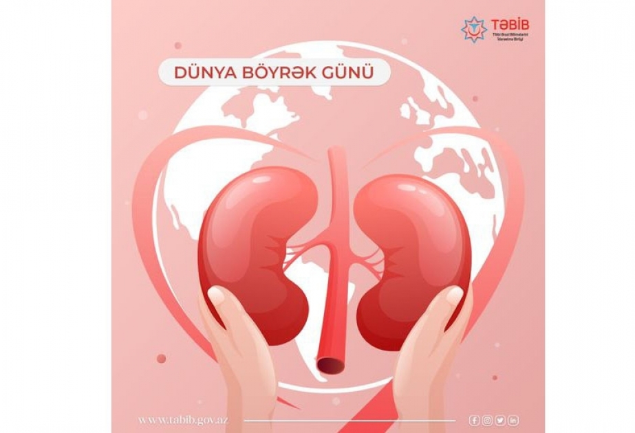 Bu gün Ümumdünya Böyrək Günüdür
