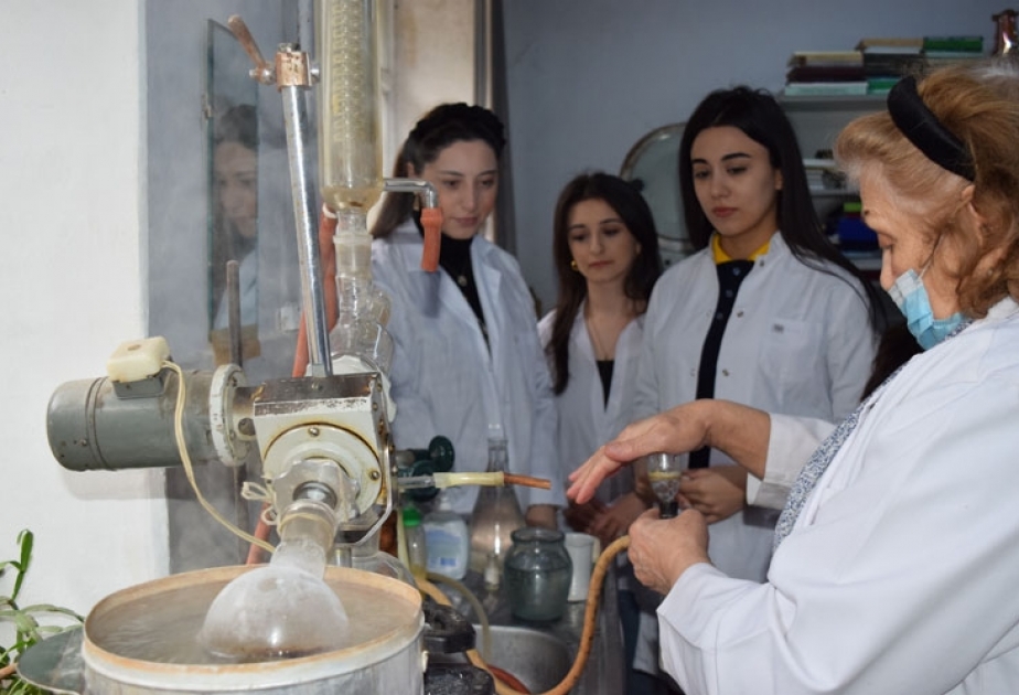 BDU-nun Biologiya fakültəsinin tələbələri Botanika İnstitutunda istehsalat təcrübəsində