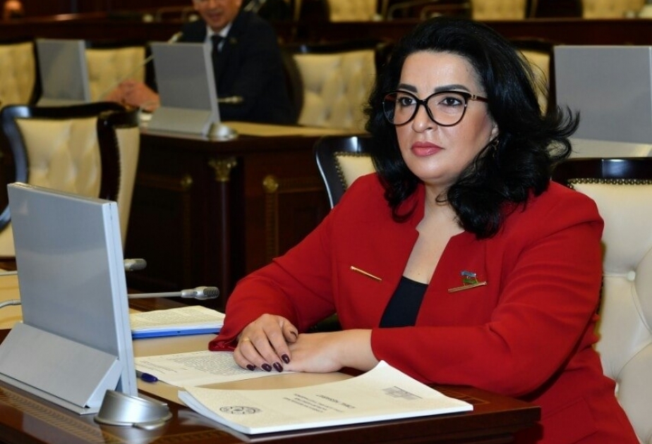 Azərbaycanın həyata keçirdiyi siyasət, gerçəkləşdirdiyi tədbirlər təqdirəlayiqdir