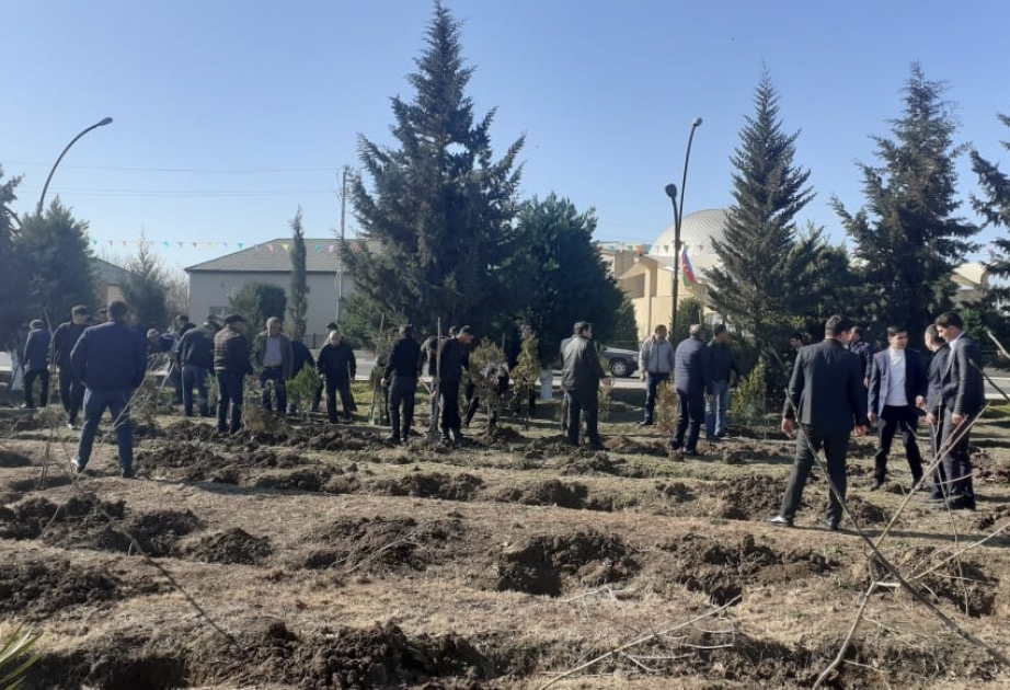 Horadizdə ağacəkmə aksiyasında şam və meşə ağacları əkilib