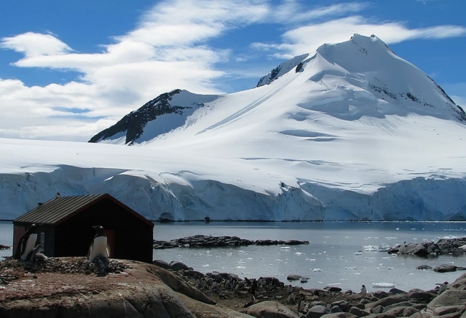 Fevral ayında Antarktidada dəniz buz sahəsi rekord dərəcədə azalıb