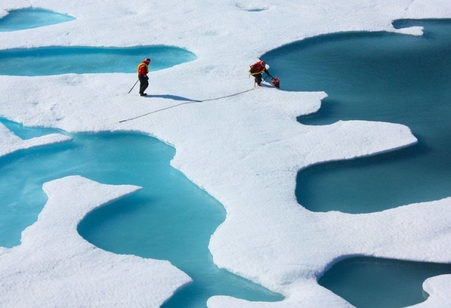 ВМО: площадь морского льда в Антарктике в феврале достигла исторического минимума