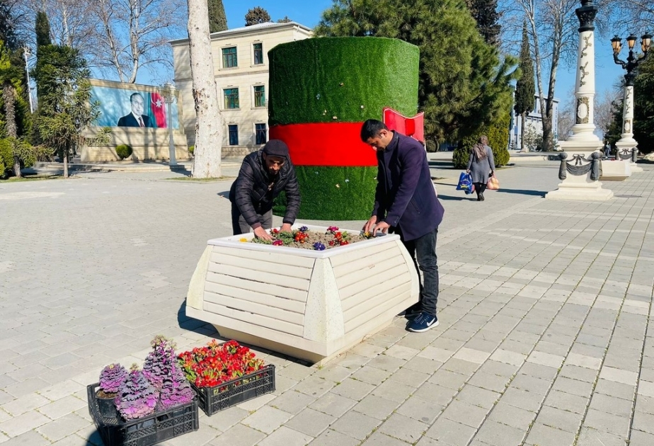 “Heydər Əliyev İli” çərçivəsində Tərtərdə 4 mindən çox gül və çiçək kolu əkilib