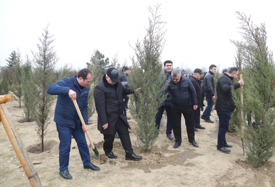 “Heydər Əliyev İli” çərçivəsində ağacəkmə aksiyası: Kəsmək yox, əkmək və yaşıllığa bir dəstək