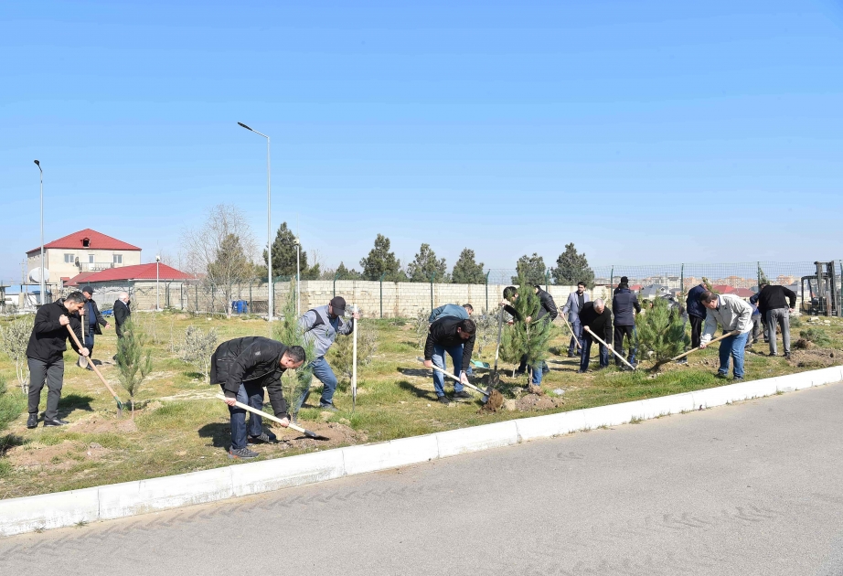 “Azərsu” ağacəkmə aksiyası keçirib