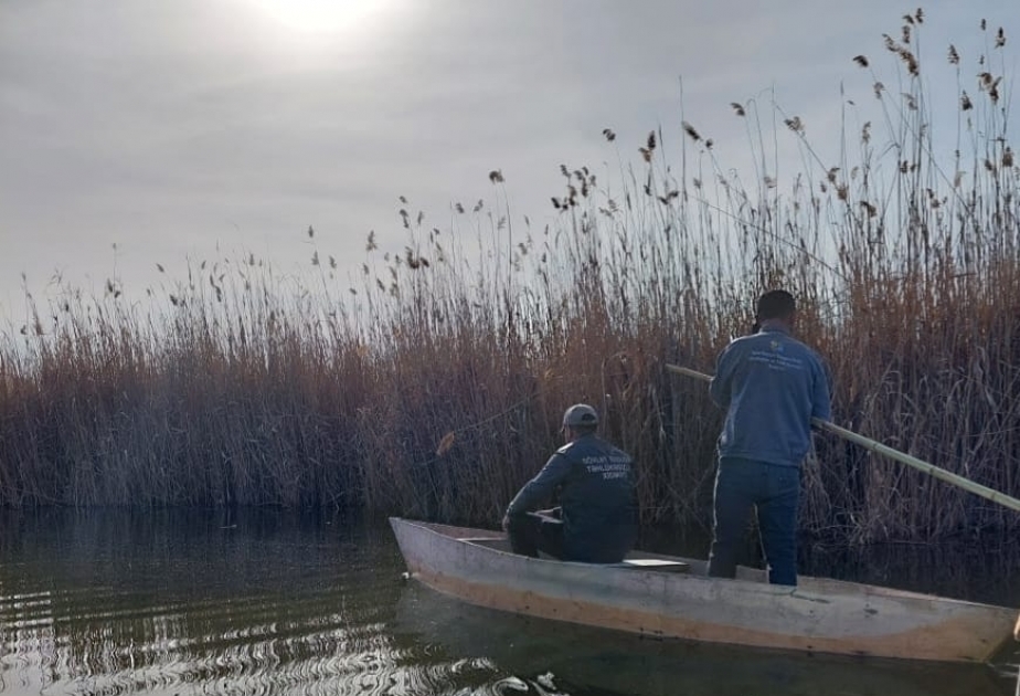 Ağgöl Milli Parkının ərazisində mühafizə rejiminin pozulması faktı aşkarlanıb