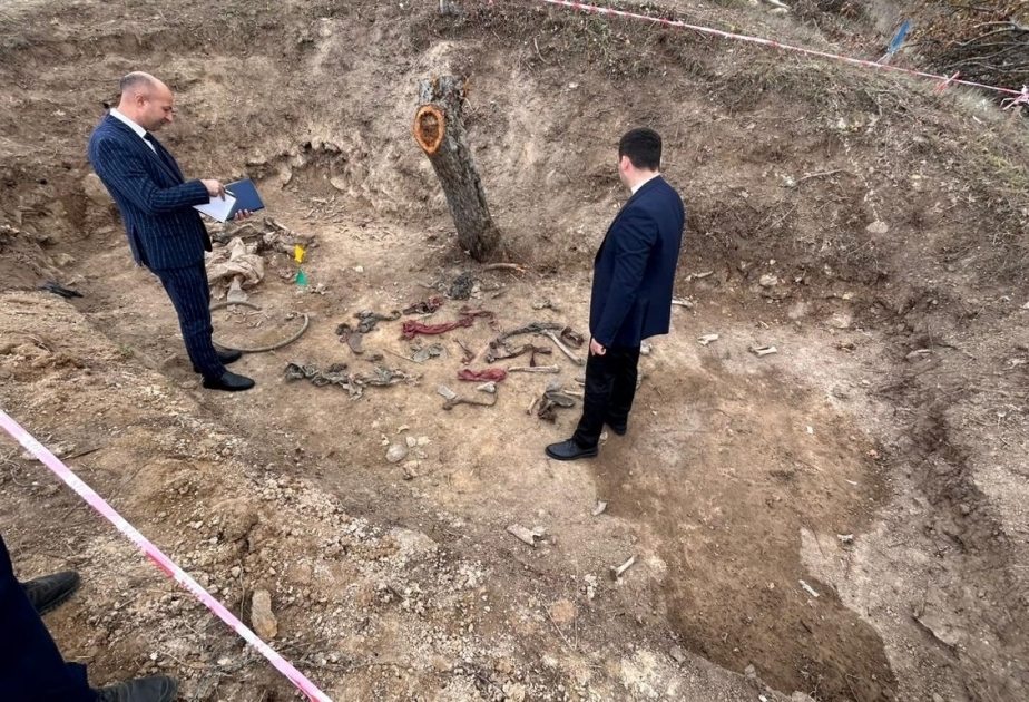 Омбудсмен подготовила отчет по результатам расследования массовых захоронений в Эдилли