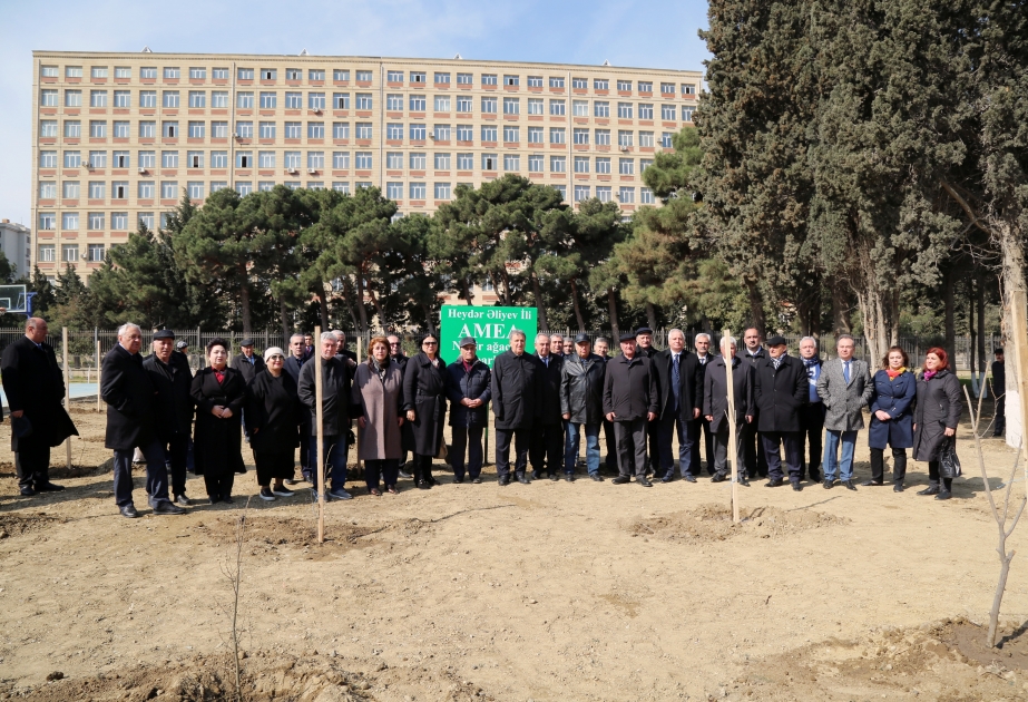 AMEA-da “Heydər Əliyev İli”nə töhfə olaraq nadir ağaclar parkı salınıb