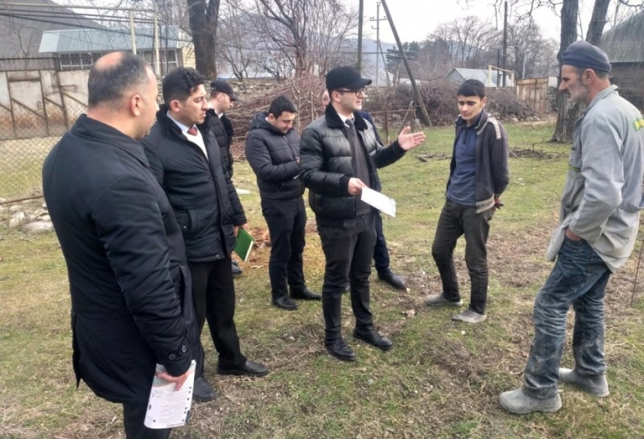 Qəhvəyi mərmər bağacığının yayıldığı ərazilərdə monitorinqlər aparılır