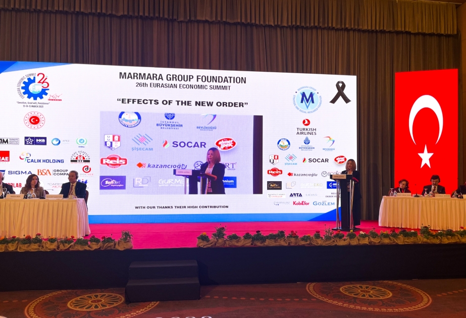 İstanbulda Azərbaycanın enerji potensialı haqqında danışılıb