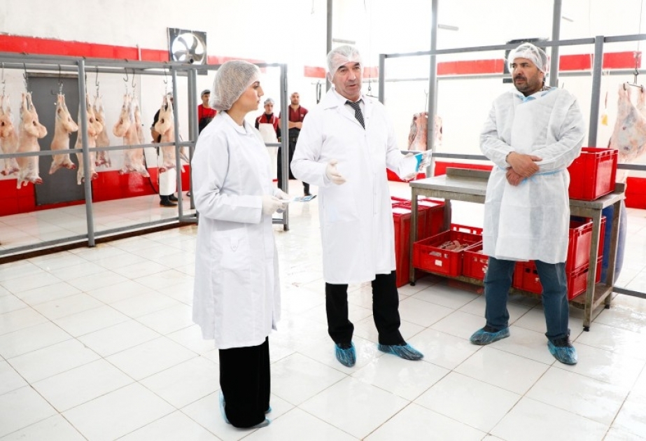 Baytarlıq ekspertizası aparılmadan heyvan kəsimi və ət satışı ilə məşğul olmaq yolverilməzdir