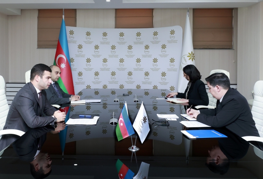 Azerbaijan’s KOBIA, UNDP discuss cooperation issues