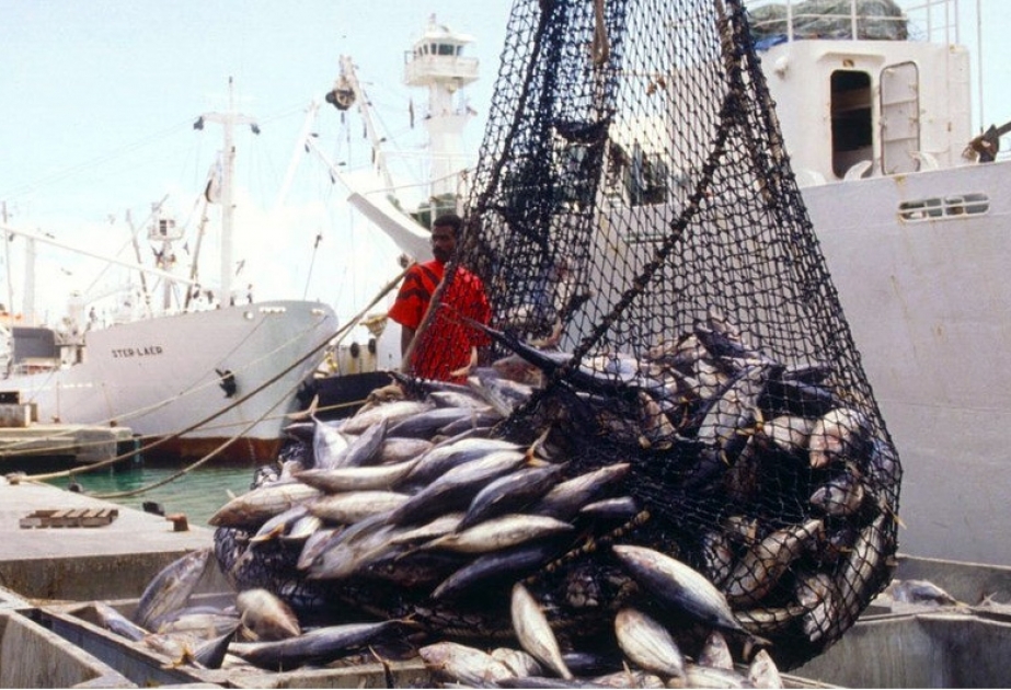 Les pays d'Afrique, des Caraïbes et du Pacifique prêts à montrer le véritable potentiel de leurs secteurs de la pêche et de l'aquaculture
