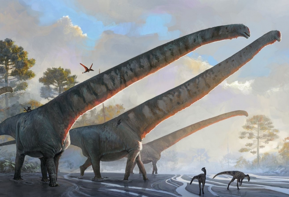 Rekord im Tierreich: Forscher entdecken Dinosaurier mit 15 Meter langem Hals